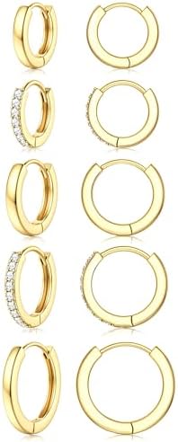 Small Gold Hoop Earrings for Women